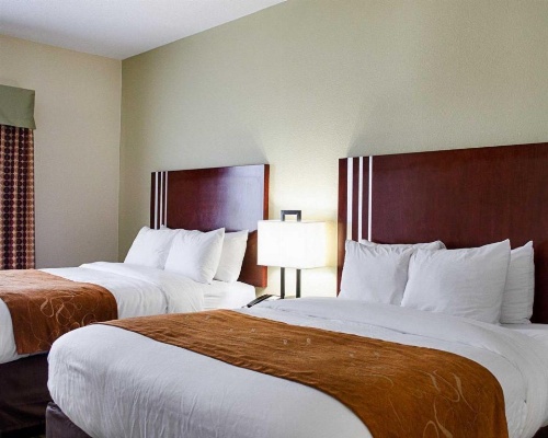 Comfort Suites Greenwood image 10