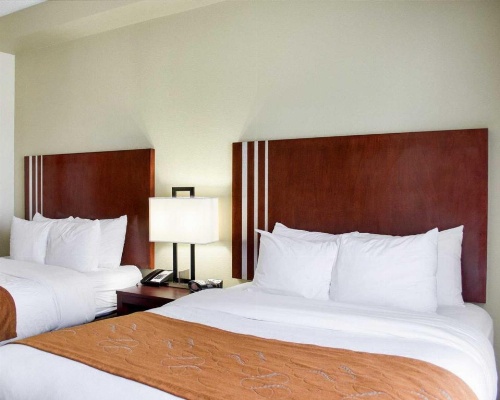 Comfort Suites Greenwood image 12