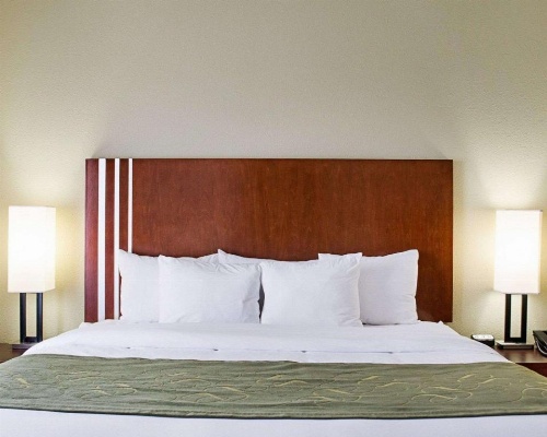 Comfort Suites Greenwood image 13