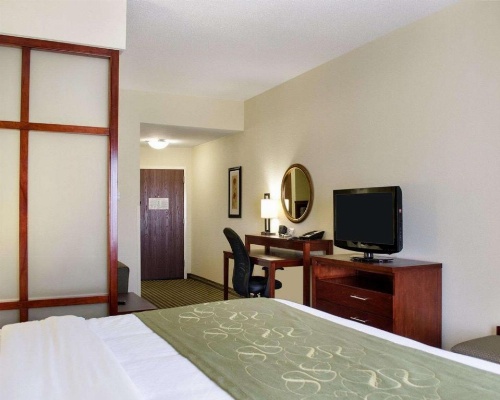 Comfort Suites Greenwood image 15