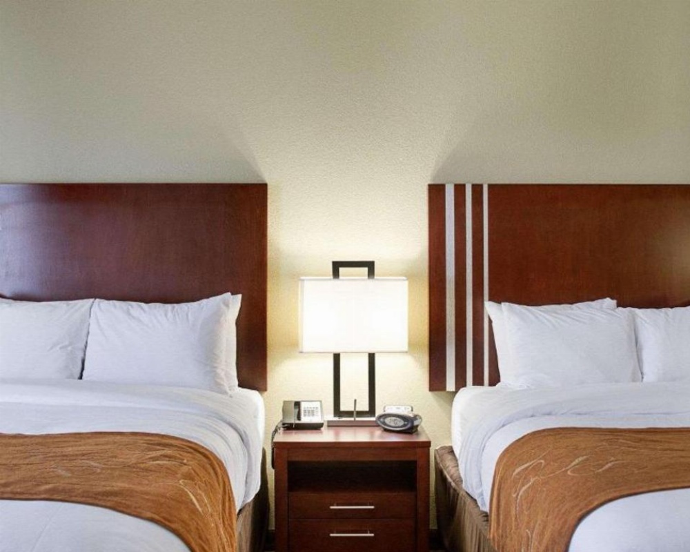 Comfort Suites Greenwood Main image