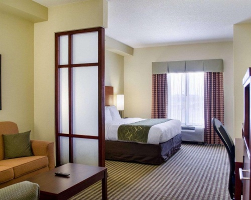 Comfort Suites Greenwood image 44