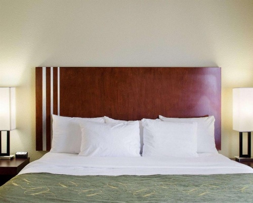 Comfort Suites Greenwood image 48