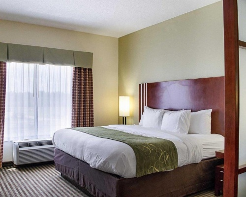 Comfort Suites Greenwood image 49