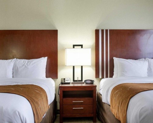 Comfort Suites Greenwood image 7